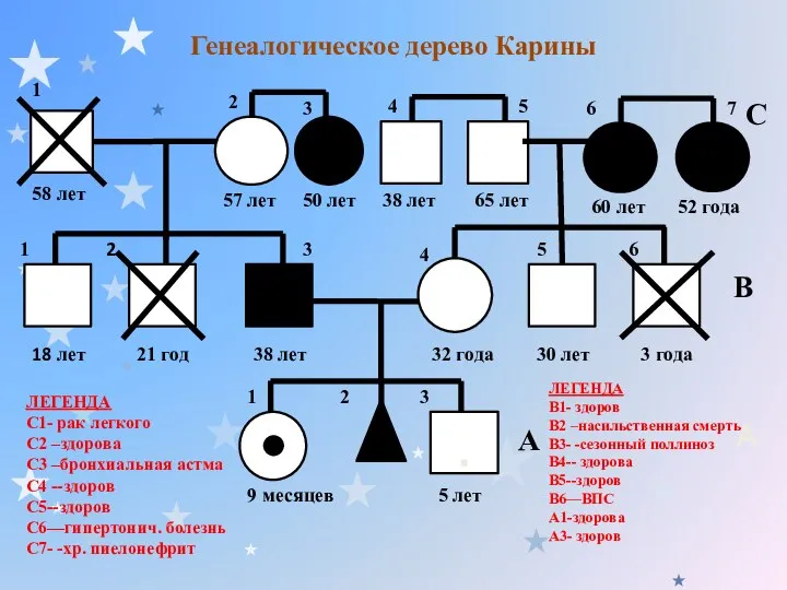 Генеалогическое дерево Карины . 1 2 2 3 4 5 6