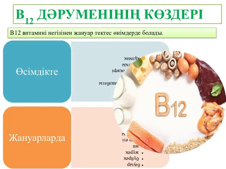 В12 витамині негізінен жануар тектес өнімдерде болады. В12 ДӘРУМЕНІНІҢ КӨЗДЕРІ