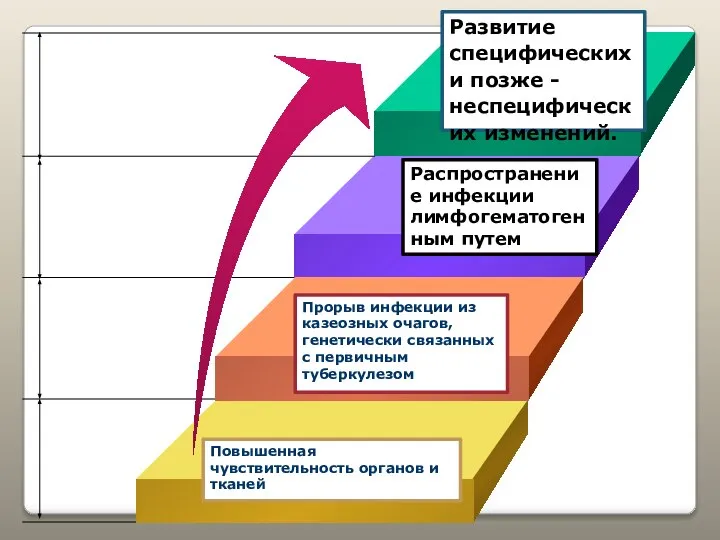 Распространение инфекции лимфогематогенным путем Развитие специфических и позже - неспецифических изменений.