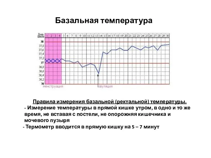 Базальная температура Правила измерения базальной (ректальной) температуры. - Измерение температуры в