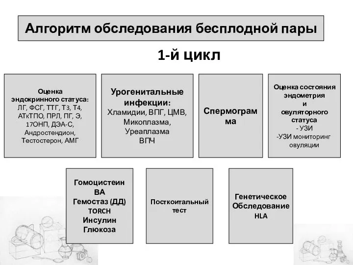 Алгоритм обследования бесплодной пары Оценка эндокринного статуса: ЛГ, ФСГ, ТТГ, Т3,