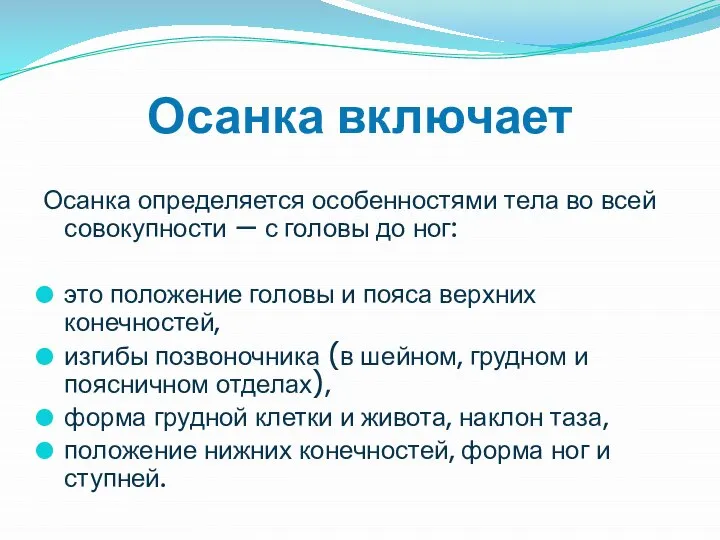 Осанка включает Осанка определяется особенностями тела во всей совокупности — с