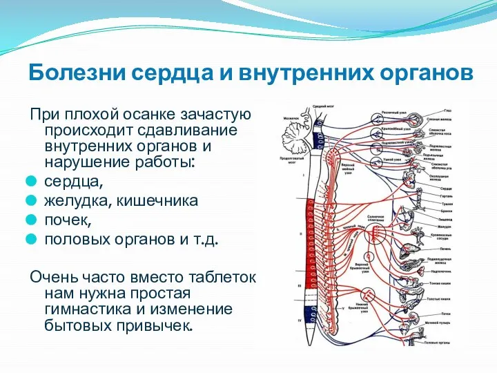 Болезни сердца и внутренних органов При плохой осанке зачастую происходит сдавливание