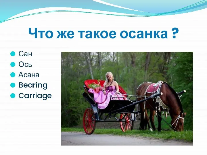 Что же такое осанка ? Сан Ось Асана Bearing Carriage