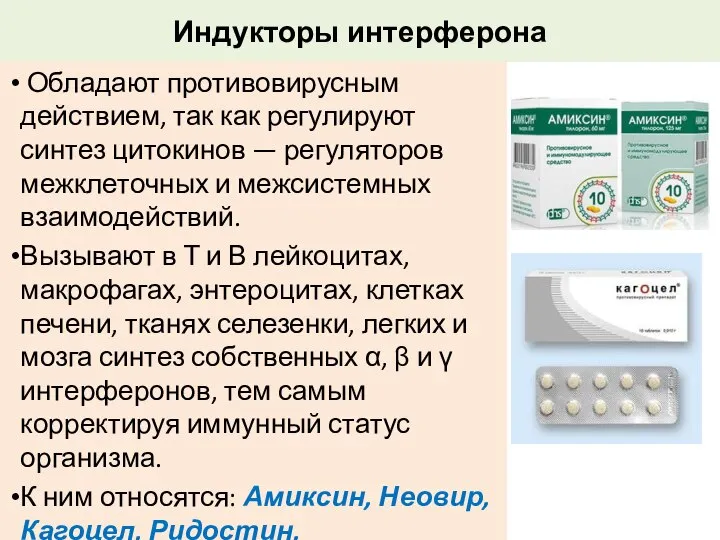 Индукторы интерферона Обладают противовирусным действием, так как регулируют синтез цитокинов —