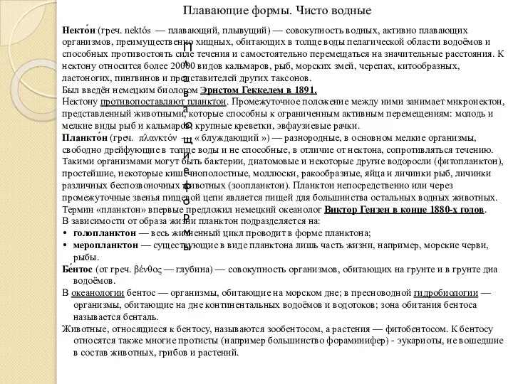 Плавающие формы Плавающие формы. Чисто водные Некто́н (греч. nektós — плавающий,