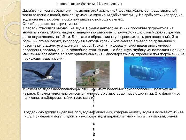 Плавающие формы. Полуводные Давайте начнем с объяснения названия этой жизненной формы.