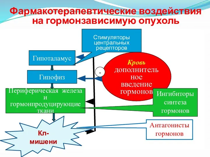 Фармакотерапевтические воздействия на гормонзависимую опухоль Гипофиз Периферическая железа и гормонпродуцирующие ткани