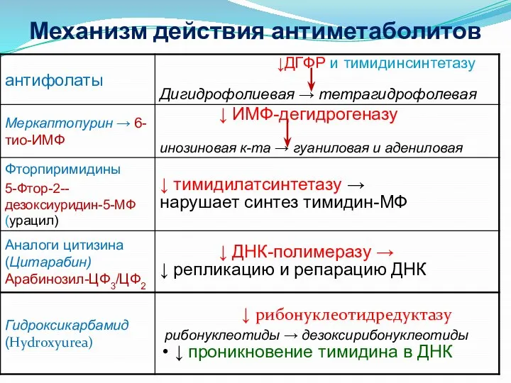 Механизм действия антиметаболитов