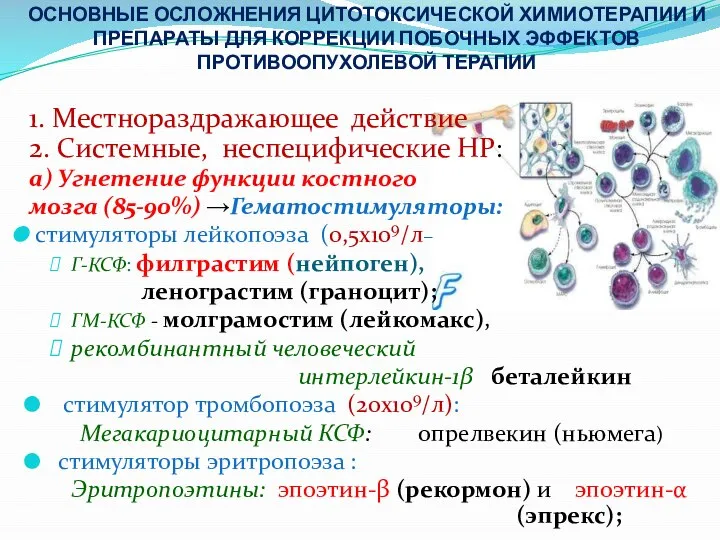 ОСНОВНЫЕ ОСЛОЖНЕНИЯ ЦИТОТОКСИЧЕСКОЙ ХИМИОТЕРАПИИ И ПРЕПАРАТЫ ДЛЯ КОРРЕКЦИИ ПОБОЧНЫХ ЭФФЕКТОВ ПРОТИВООПУХОЛЕВОЙ