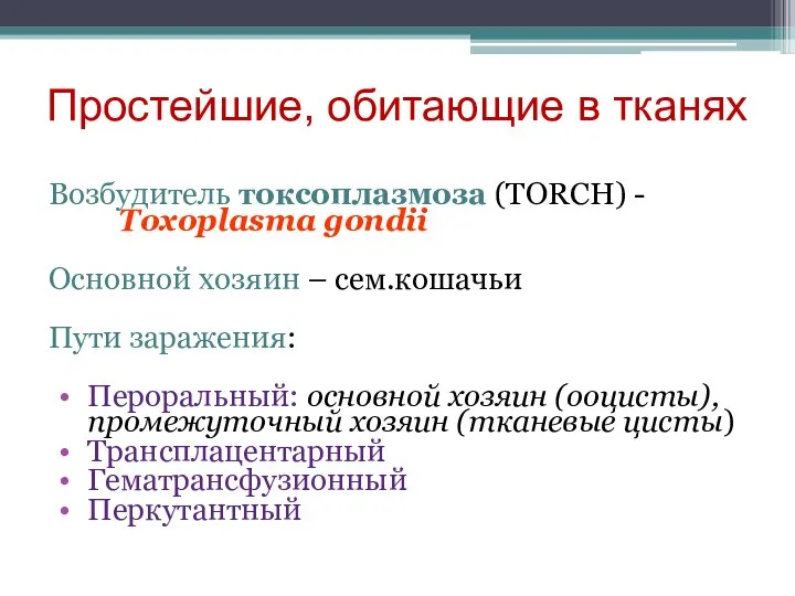 Простейшие, обитающие в тканях Возбудитель токсоплазмоза (TORCH) - Toxoplasma gondii Основной