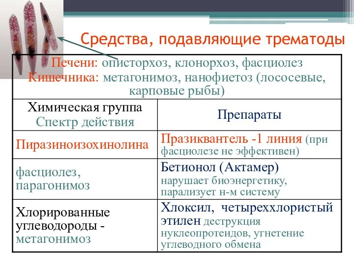 Средства, подавляющие трематоды