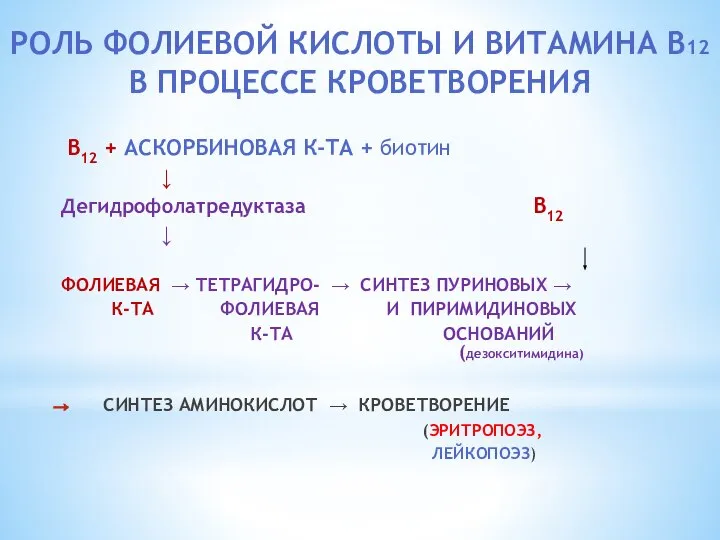 РОЛЬ ФОЛИЕВОЙ КИСЛОТЫ И ВИТАМИНА В12 В ПРОЦЕССЕ КРОВЕТВОРЕНИЯ В12 +