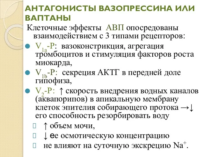 АНТАГОНИСТЫ ВАЗОПРЕССИНА ИЛИ ВАПТАНЫ Клеточные эффекты АВП опосредованы взаимодействием с 3