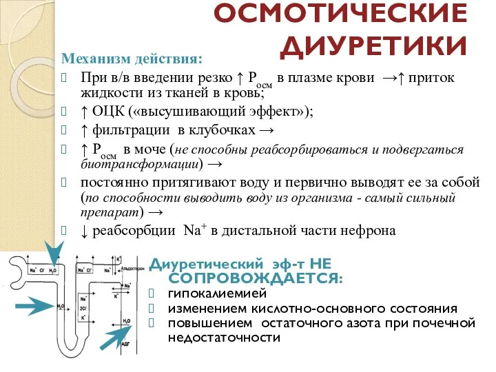 ОСМОТИЧЕСКИЕ ДИУРЕТИКИ Механизм действия: При в/в введении резко ↑ Росм в