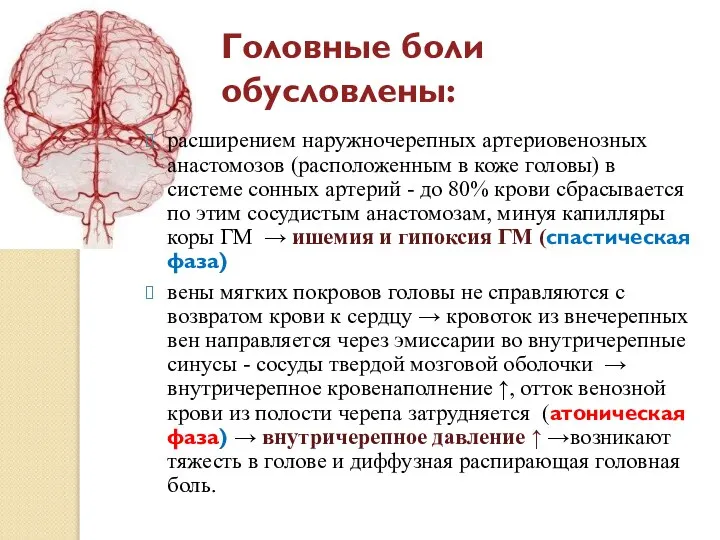 Головные боли обусловлены: расширением наружночерепных артериовенозных анастомозов (расположенным в коже головы)