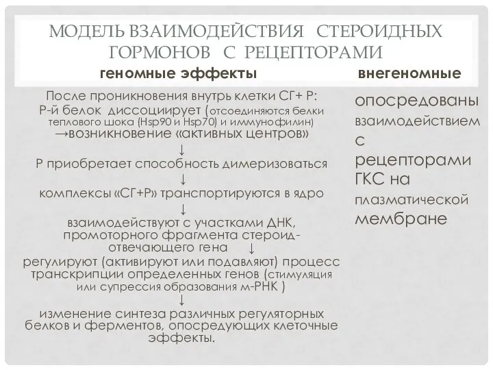 МОДЕЛЬ ВЗАИМОДЕЙСТВИЯ СТЕРОИДНЫХ ГОРМОНОВ С РЕЦЕПТОРАМИ геномные эффекты После проникновения внутрь