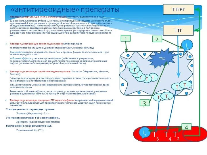 Препараты, разрушающие клетки фолликулов ЩЖ: препараты радиоактивного йода широко используются за