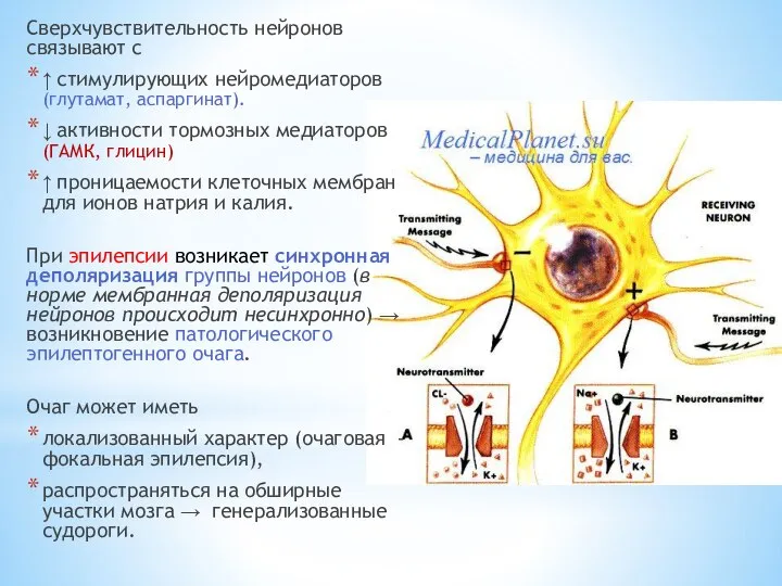 Сверхчувствительность нейронов связывают с ↑ стимулирующих нейромедиаторов (глутамат, аспаргинат). ↓ активности