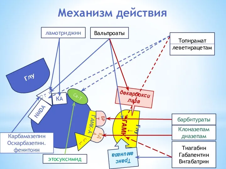 Механизм действия Глу Глу ↓ ГАМК NMDA КА Na,Ca ГAMK-A CL