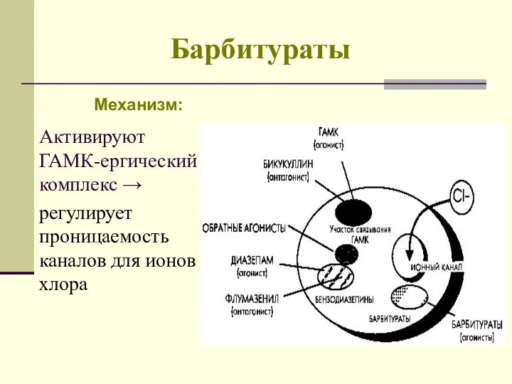 Барбитураты Механизм: Активируют ГАМК-ергический комплекс → регулирует проницаемость каналов для ионов хлора