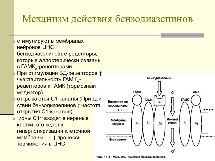 Механизм действия бензодиазепинов стимулируют в мембранах нейронов ЦНС бензодиазепиновые рецепторы, которые