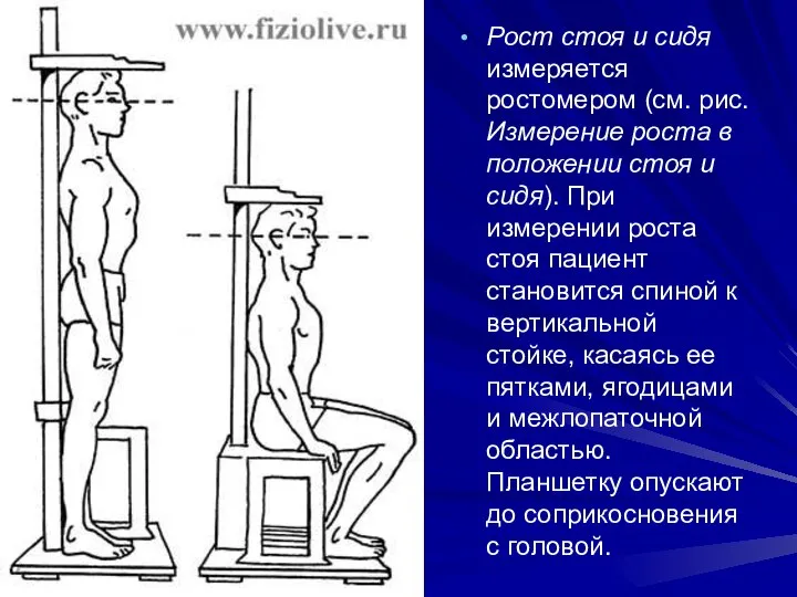 Рост стоя и сидя измеряется ростомером (см. рис. Измерение роста в