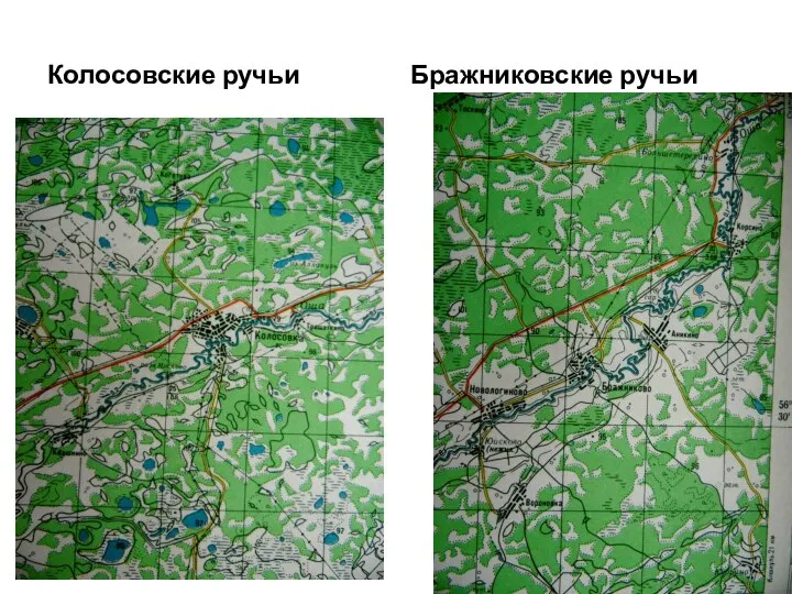 Колосовские ручьи Бражниковские ручьи