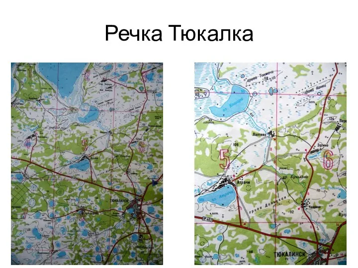 Речка Тюкалка