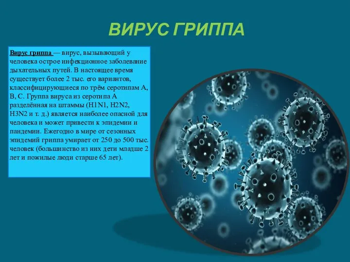 ВИРУС ГРИППА Вирус гриппа — вирус, вызывающий у человека острое инфекционное