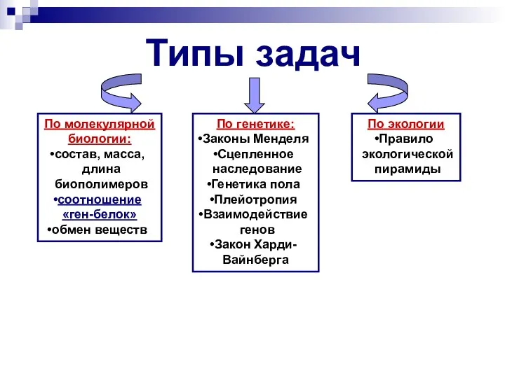 Типы задач По молекулярной биологии: состав, масса, длина биополимеров соотношение «ген-белок»