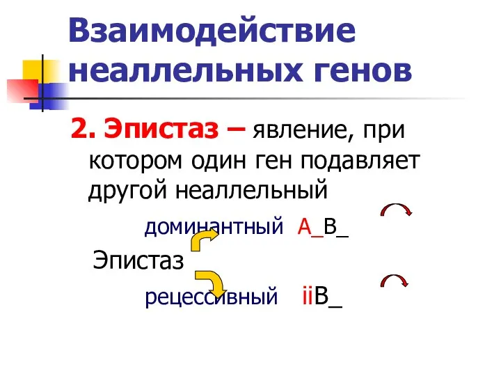 Взаимодействие неаллельных генов 2. Эпистаз – явление, при котором один ген