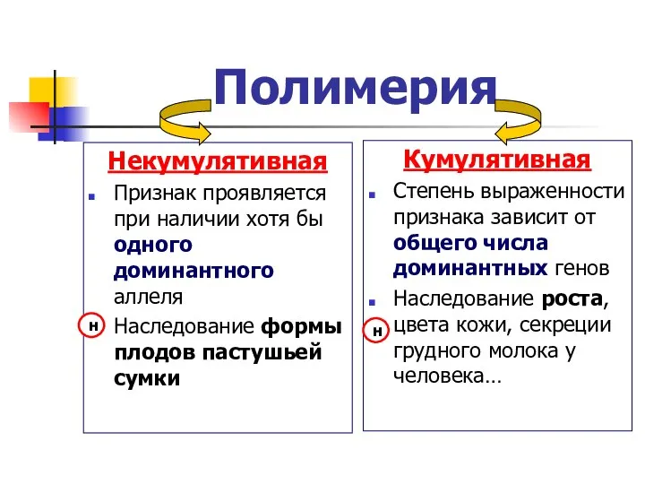 Полимерия Некумулятивная Признак проявляется при наличии хотя бы одного доминантного аллеля