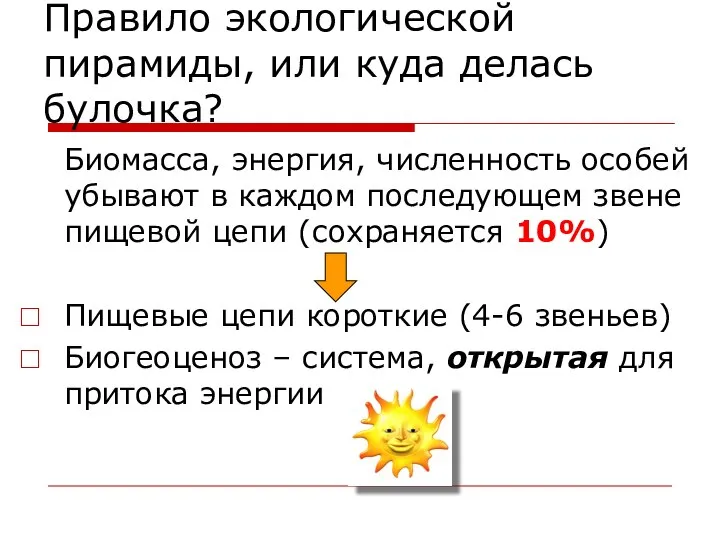 Правило экологической пирамиды, или куда делась булочка? Биомасса, энергия, численность особей