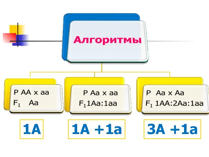 1A 1A +1a 3A +1a