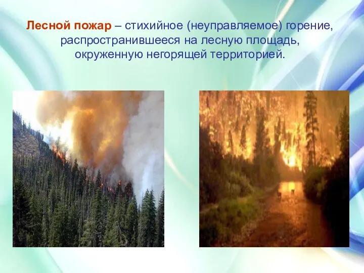 Лесной пожар – стихийное (неуправляемое) горение, распространившееся на лесную площадь, окруженную негорящей территорией.