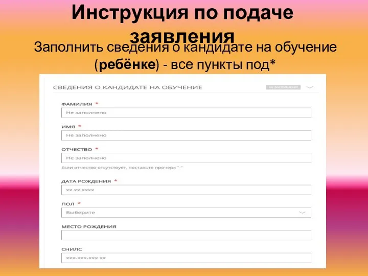 Инструкция по подаче заявления Заполнить сведения о кандидате на обучение (ребёнке) - все пункты под*