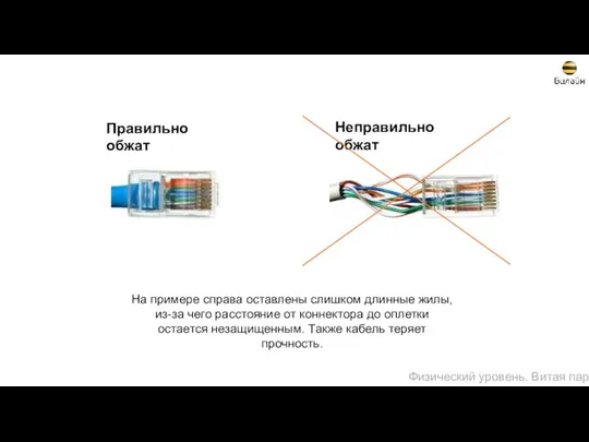 Правильно обжат Неправильно обжат На примере справа оставлены слишком длинные жилы,