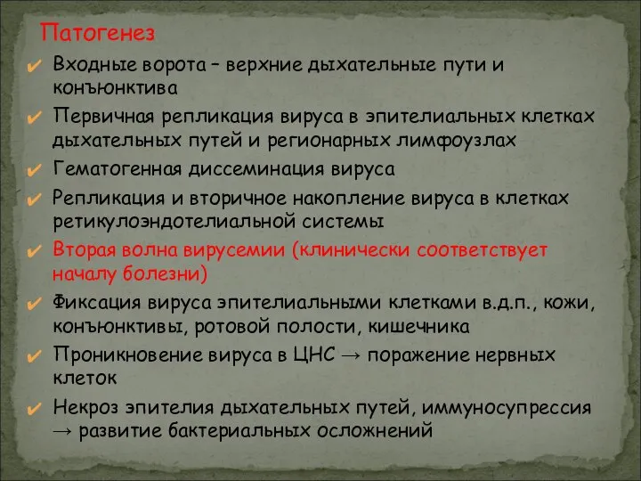 Входные ворота – верхние дыхательные пути и конъюнктива Первичная репликация вируса