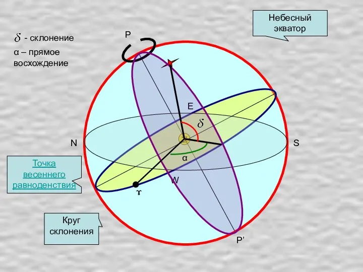 P P’ Небесный экватор W E N S Круг склонения ɤ