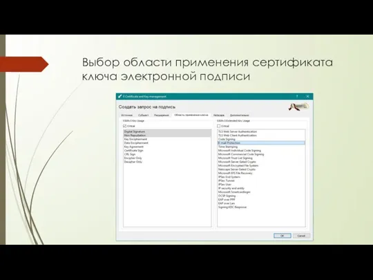 Выбор области применения сертификата ключа электронной подписи