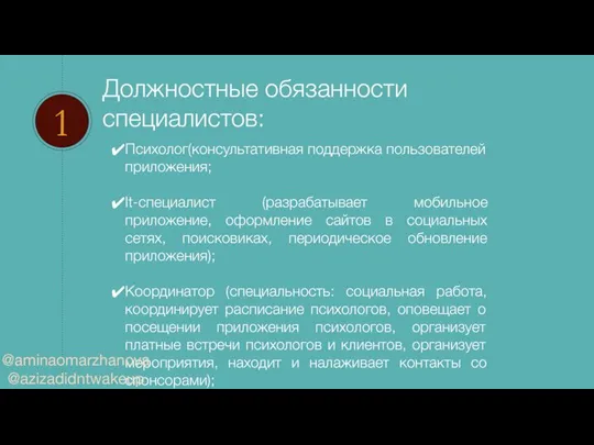 Должностные обязанности специалистов: 1 Психолог(консультативная поддержка пользователей приложения; It-специалист (разрабатывает мобильное