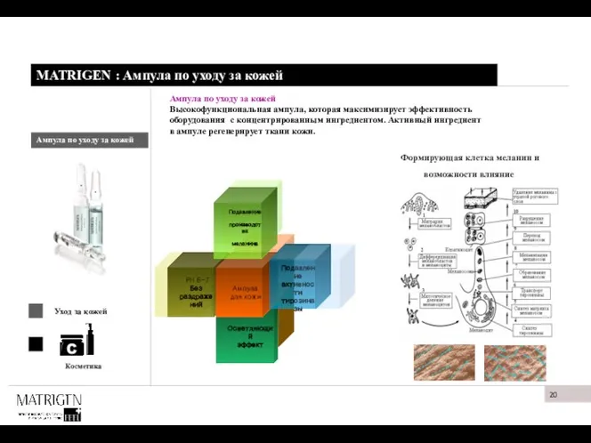 MATRIGEN : Ампула по уходу за кожей Ампула по уходу за