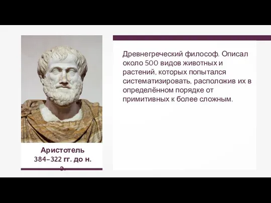 Аристотель 384–322 гг. до н.э. Древнегреческий философ. Описал около 500 видов