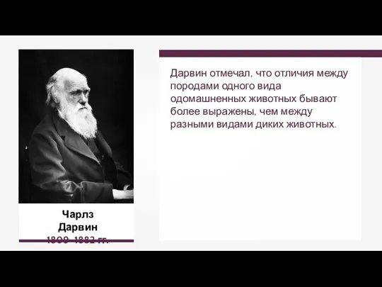 Чарлз Дарвин 1809–1882 гг. Дарвин отмечал, что отличия между породами одного