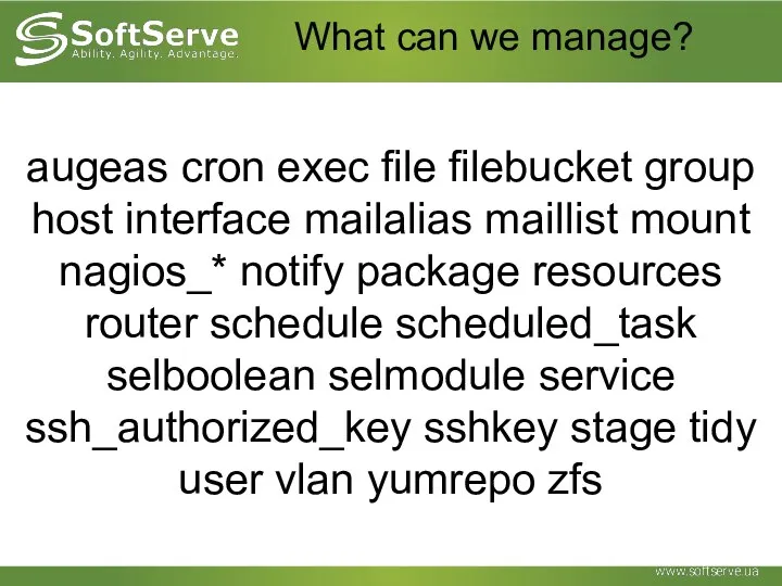 What can we manage? augeas cron exec file filebucket group host