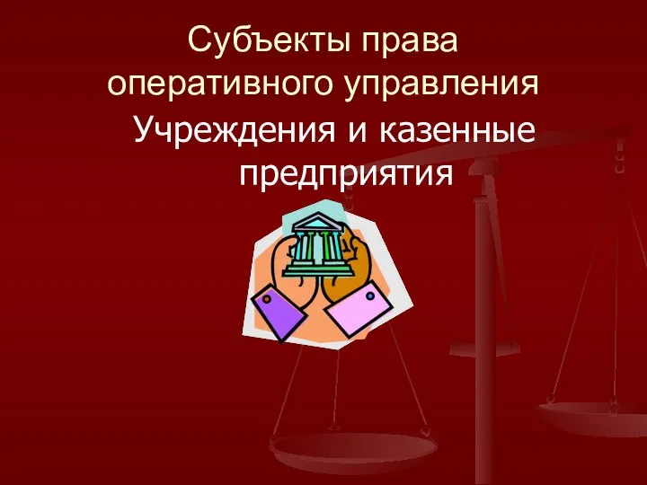 Субъекты права оперативного управления Учреждения и казенные предприятия