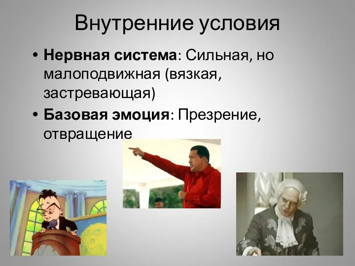 Внутренние условия Нервная система: Сильная, но малоподвижная (вязкая, застревающая) Базовая эмоция: Презрение, отвращение