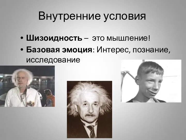 Внутренние условия Шизоидность – это мышление! Базовая эмоция: Интерес, познание, исследование