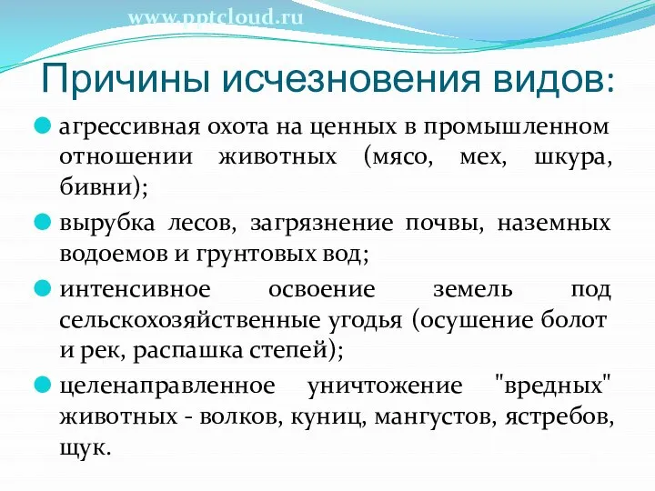 Причины исчезновения видов: агрессивная охота на ценных в промышленном отношении животных